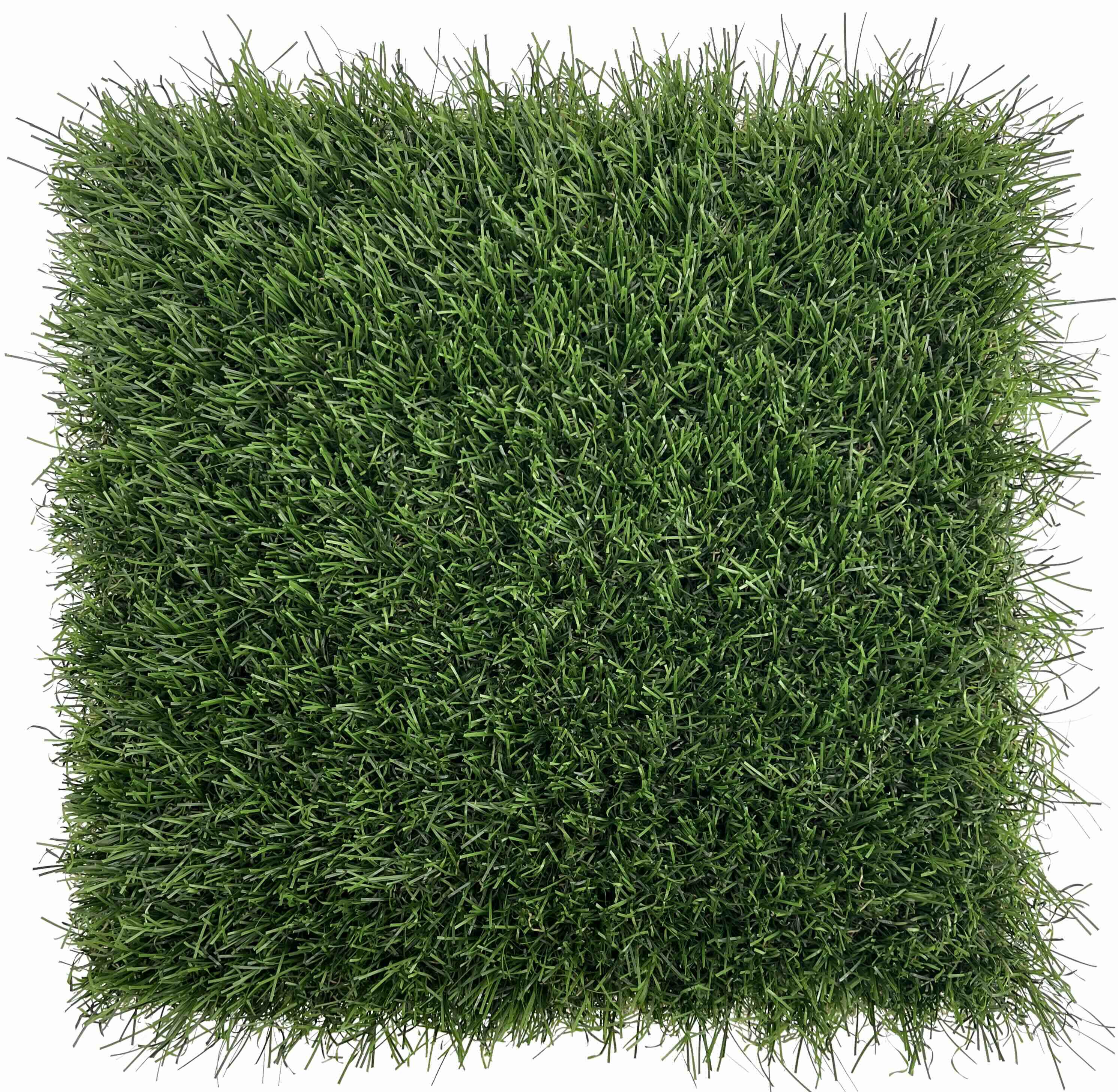 NON DIRECTIONAL GRASS